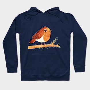 Little robin Hoodie